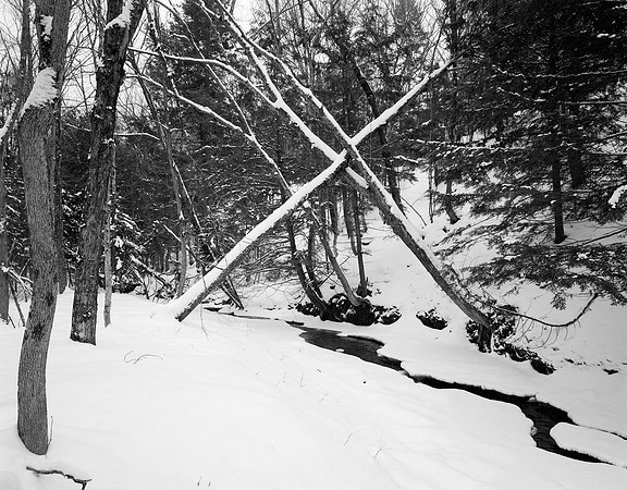X Marks the Spot