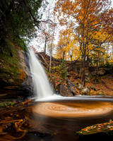 Autumn Swirl