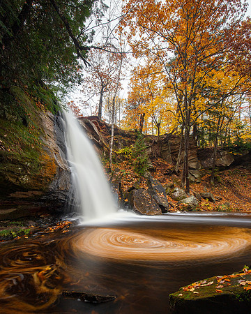 Autumn Swirl