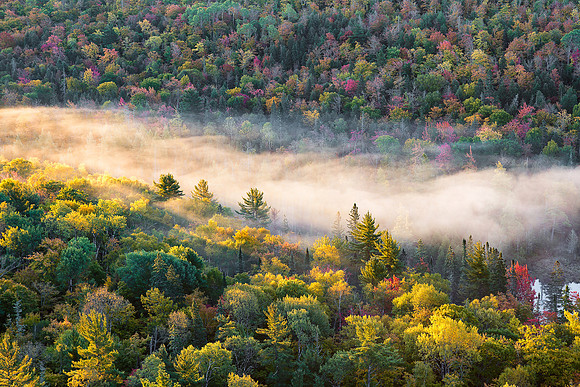 Valley Mist