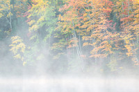 Clear Lake Mist