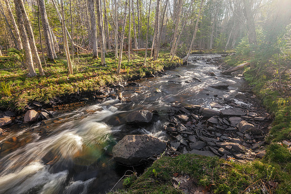 Boston Creek