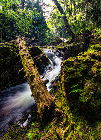 Overlooked Falls