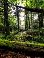 Porcupine Mountains Wilderness State Park