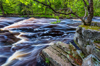 Sturgeon River