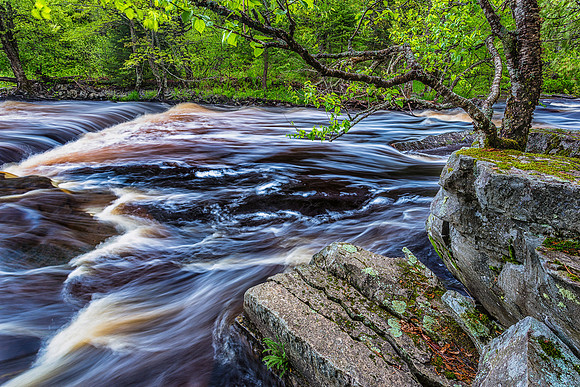 Sturgeon River