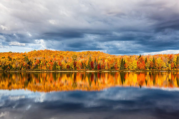 Glowing Fall Colors