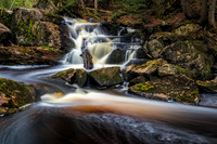 Herman Cascades