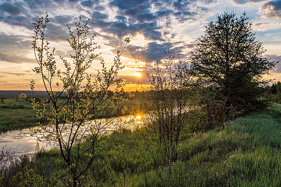 A New Day