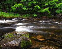 Along the Falls River