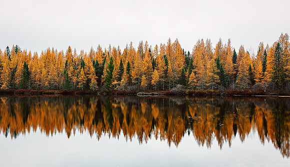 Sudden Lake