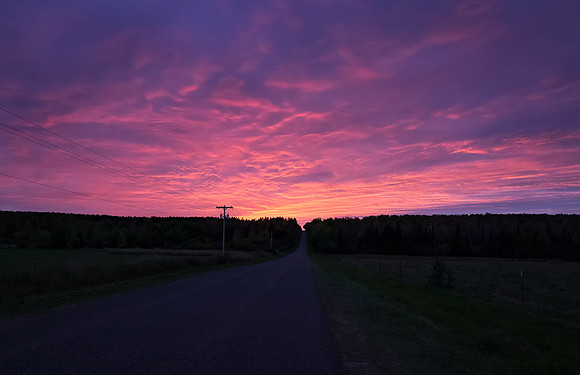 Into The Sunset