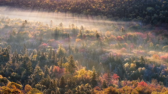 Morning Rays