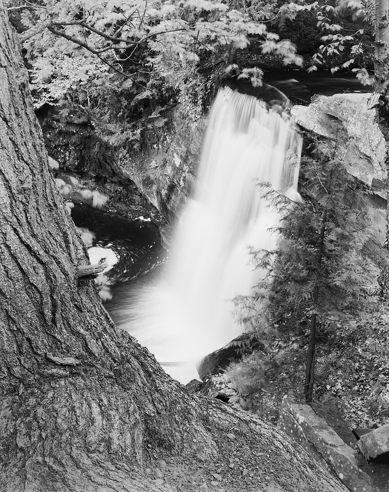 Above The Falls