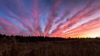 Explosion In The Sky