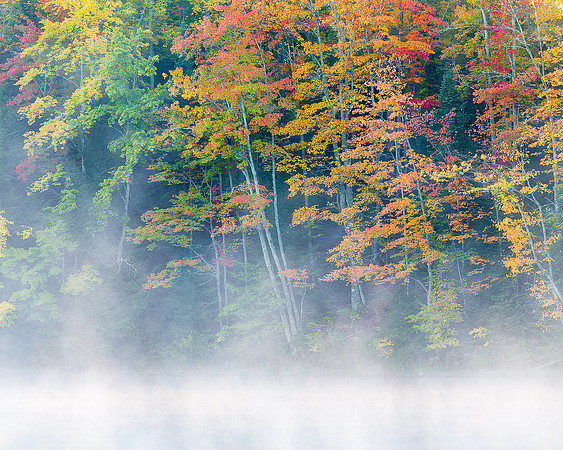Misty Fall Colors