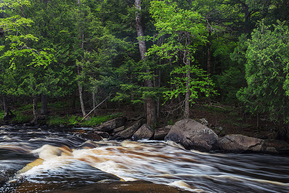 Sturgeon River