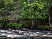 Ripples