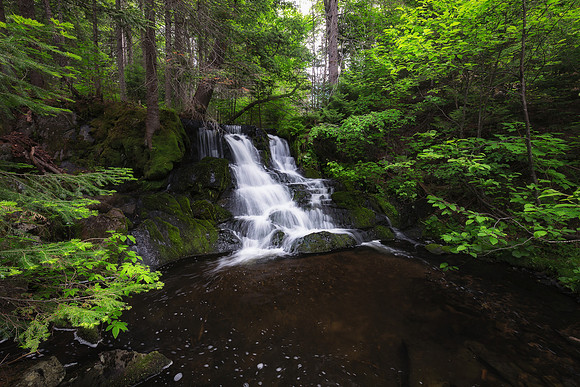 Ogemaw Falls