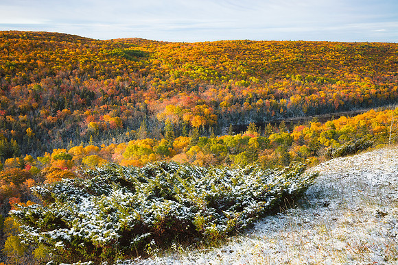 Autumn Tones