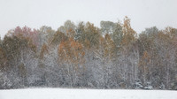 Field's Edge