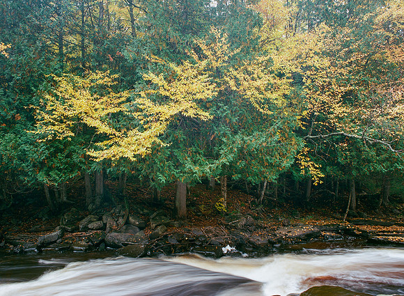 Sturgeon River