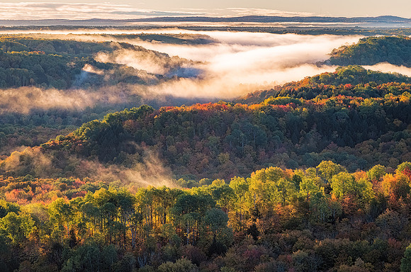 Misty Fall Colors