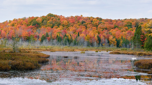 Pike Lake Backwater