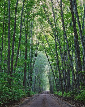 Covered Drive
