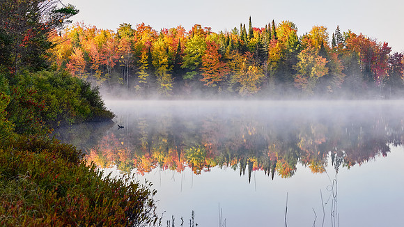 Pike Lake Reflections