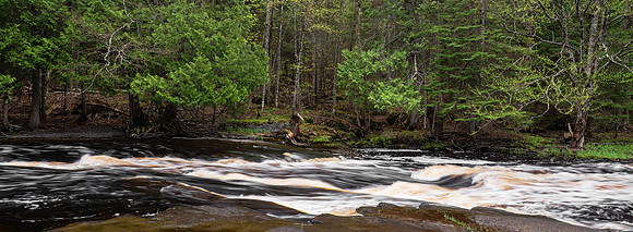Spring on the Sturgeon River