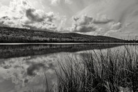 Lake Bailey
