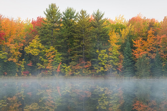 Horseshoe Lake Reflections
