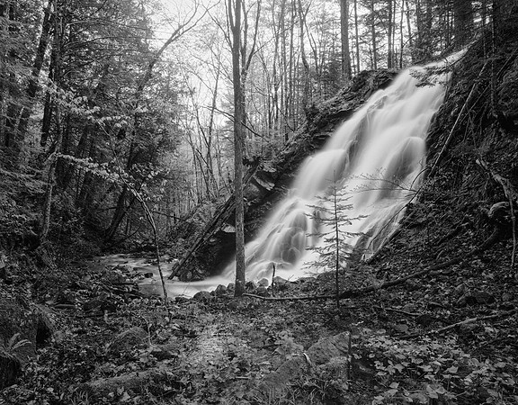 Scales Creek Falls
