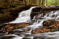 Hogger Falls