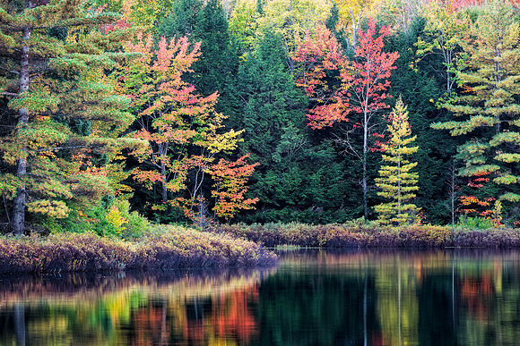Lake Perrault Serenity