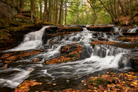 Hogger Falls Autumn