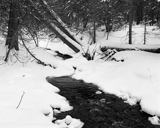 Lilly Creek